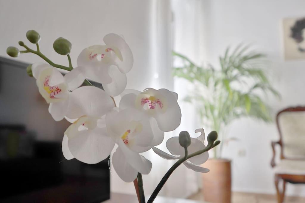 Posada La Juderia I 科爾多瓦 外观 照片
